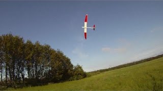 Dynamic soaring behind a treeline.