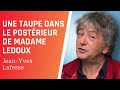 une taupe dans le postérieur de madame ledoux jean yves lafesse