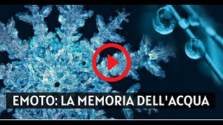 Masaru Emoto - I messaggi dell'acqua: le scoperte del famoso ricercatore giapponese