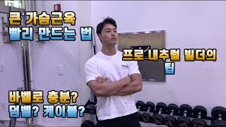 큰 가슴을 만들기 위한 최고의 도구 (바벨 vs 덤벨,케이블)