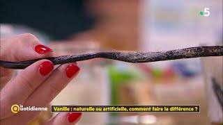 Vanille : naturelle ou artificielle, comment faire la différence ?  - La Quotidienne