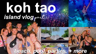 KOH TAO ISLAND THAILAND VLOG | beach day, pool parties, going out, + more