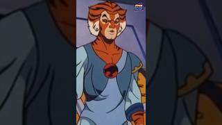 ThunderCats 1985: Tygra Addicted To The Keystones Power!