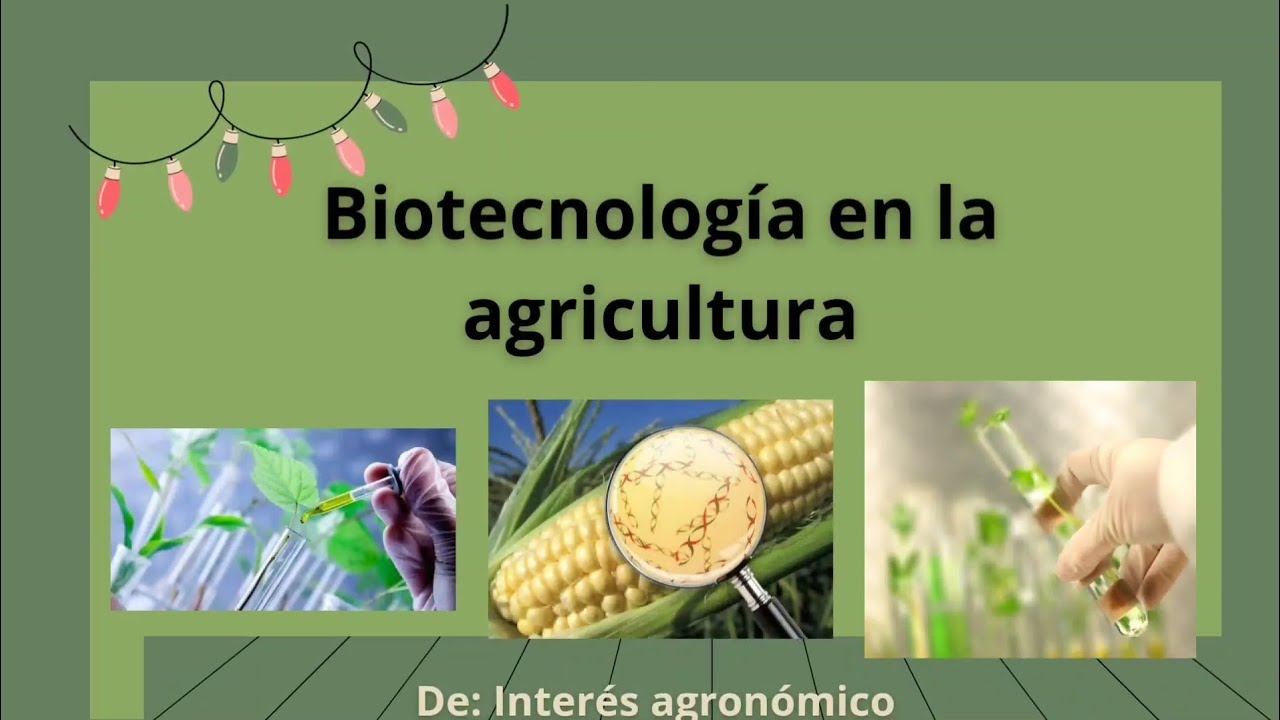 Biotecnología En La Agricultura 🌱 👨🏻‍🌾 🧬 - YouTube