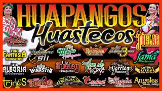 HUAPANGOS HUASTECOS #27Exitos