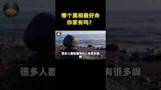 十二生肖中哪个屬相最好命？你家有嗎？【般若之音】#生肖 #運勢 #風水 #財運#shorts