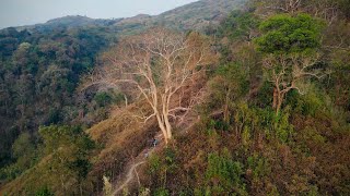 বান্ধরবানের গহীনে কয়েকটা দিন | মাইকুয়া পাড়া আন্ধারমানিক  | Andharmanik Tour 2023 |  Part 2