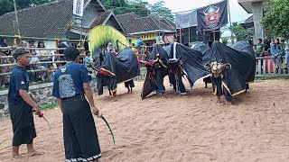 Live Bantengan Putro Nusantoro ‼️ Lokasi Blayu - Wajak ❗