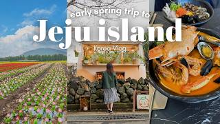 3 day Trip to Jeju Island Without a Car| Flower fields, aesthetic cafes, what I