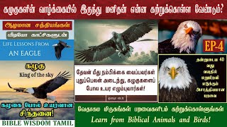 வேதாகமத்தில் பறவைகள் | EP 4 | கழுகு | Eagle in bible