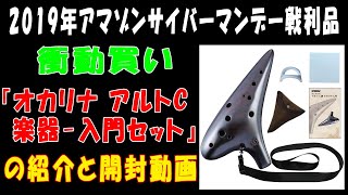 【楽器】WEEGU『オカリナ アルトC 楽器-入門セット』の紹介と開封動画【2019年アマゾンサイバーマンデー戦利品】