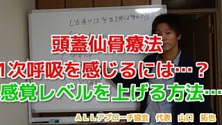 頭蓋仙骨療法　1次呼吸を感じるためには…　生活習慣編　【内臓治療　理学療法士　柔道整復師　セミナー】