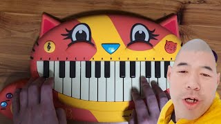Xue Hua Piao Piao but it's played on a Cat Piano