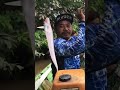 Mancing Udang Galah Plus dapat Ikan juga #mancing #fishing #ikan #udanggalah #disungai #fyp #angler