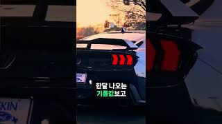 인생은 너무 짧으니까 머스탱을 사세요