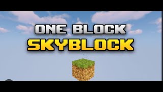 ich hab heute minecraft oneblock gespielt!