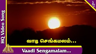 Vaadi En Sengamalam Video Song | Rasukutty Tamil Movie Songs | K Bhagyaraj | Aishwarya | Ilayaraja