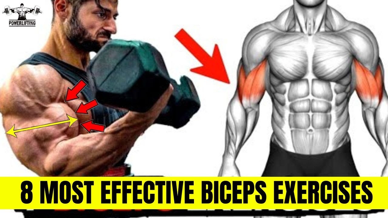 8 Biceps Exercises For Bigger Arms Biceps Workout At Gym Most