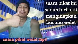 suara pikat burung walet‼️rbw mini sukses