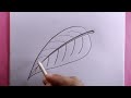 how to draw a easy leaf step by step