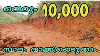 10,000 രൂപക്ക് സ്ഥലം വാങ്ങാം | Land for sale at Rs.10,000/Cent | BEARS Real