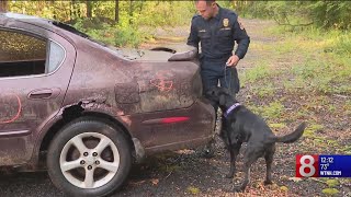 Connecticut police dogs go through arson detection training