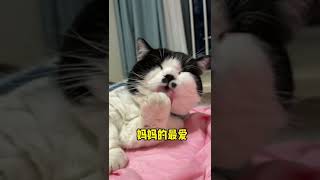 【不要胡子啊】真是爸爸的好大儿，晚上吃红烧猫肉了