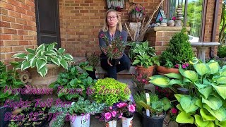 Clearance Plant Haul \u0026 MSU Plant Sale Scores 💚😍🪴// Suburban Oasis