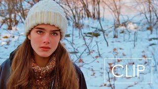 Endless Love Clip 4k