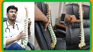 Best Chair For Neck and Back Pain || Orthopaedic Chair || Orthopedics Chair || Long Sitting