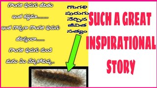 Caterpiller to Butterfly Such an INSPIRATIONAL STORY in Telugu....గొంగళి పురుగు నేర్పిన జీవిత సత్యం.