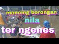 mancing borongan nila terheboh 2023