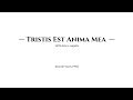 Kenneth Tay - Tristis Est Anima Mea