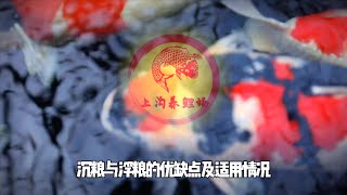 锦鲤鱼粮分为沉粮与浮粮，那它们的优缺点及适用情况分别是什么？