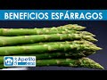 8 Propiedades y Beneficios de los Espárragos | QueApetito