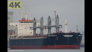 THEOLOGOS S - Shipspotting Germany 🇩🇪 IMO 1029479 - River Weser near City Brake Unterweser -4K VIDEO