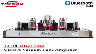 Oldchen EL34 Vacuum Tube Amplifier 10w*2 High Power Bluetooth 5.0 Handmade Class A Amplifi