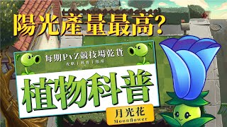 【PvZ2科普】月光花(Moonflower)