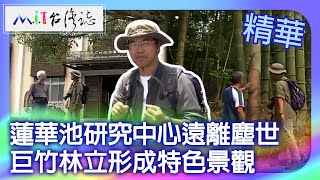 蓮華池研究中心遠離塵世　巨竹林立形成特色景觀｜南投魚池鄉 麥覺明【 ‪‪‪‪ ‪‪‪‪‪‪‪‪‪‪‪‪‪‪‪‪‪‪‪‪‪‪‪‪‪‪@ctvmit  637集】