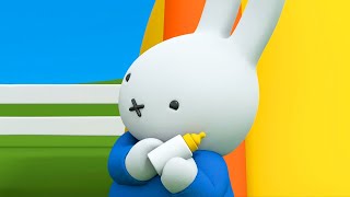 Miffy and the New Baby | Miffy's Adventures Big \u0026 Small | Series 3 | Episode 23