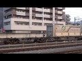 2013年8月10日 5065レ 貨物列車