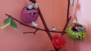 157.DIY of dry plant stem||শুকনো গাছের ডাল ঘর সাজাবার সামগ্রী|| DIY Birds Plant||DIY