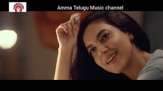 manasulone nilichipoke video song | varudu kavali movie |Naga shaurya,Ritu Varma | chinmayi |