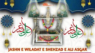 🛑Live HD | 9th Rajab 1446/2025 | Jashn e Wiladat e Shehzada e Ali Asgarع | Astana e Chehlum