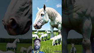 A Beautiful 😍 story of horse 🐎#shortvideos #animals #youtubeshorts #horse #ai #trending