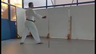 Aikido Movements, Tai (Ashi) Sabaki, Tenshin