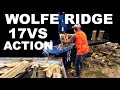 WOLFE RIDGE 17VS WOOD SPLITTER... IN THE WOODYARD!