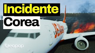 Incidente aereo in Corea del Sud con animazioni 3D inedite - ipotesi, cause e domande