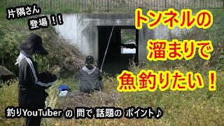 南小畔川で釣りたい！釣りYouTuberにも人気のポイント♪釣りの様子と散策ライブをお届けします♪