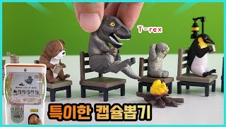 특이한 공룡과 동물 캡슐뽑기ㅋㅋ 티라노사우루스 캠핑 중